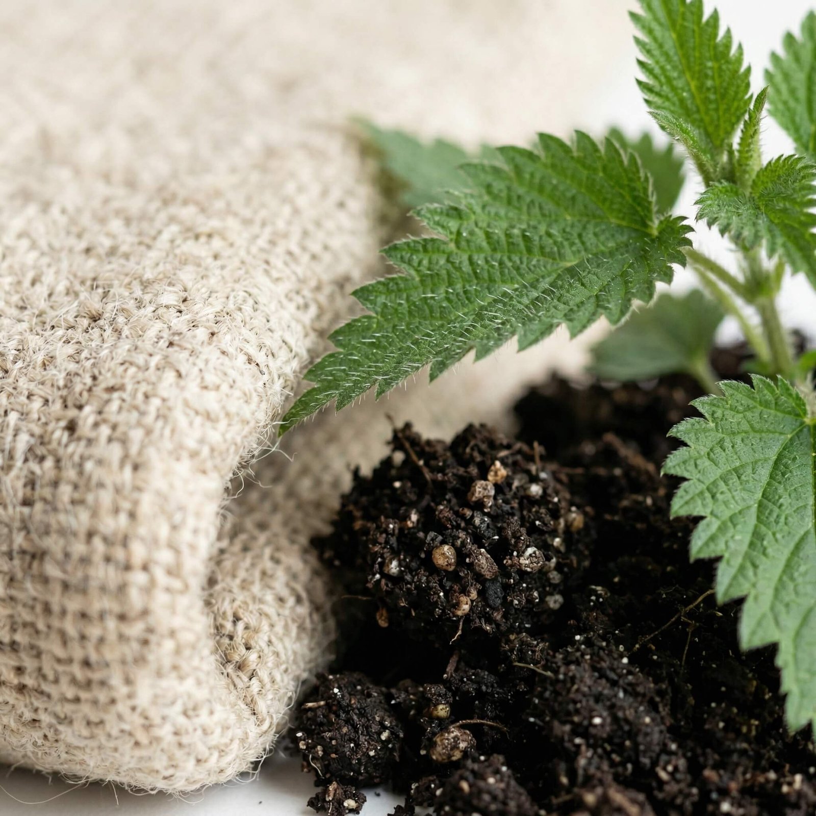 HEALTH & MATERIAL BENEFITS